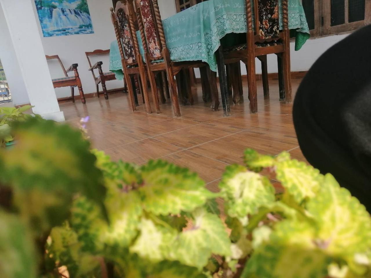 Thilini Homestay エッラ エクステリア 写真