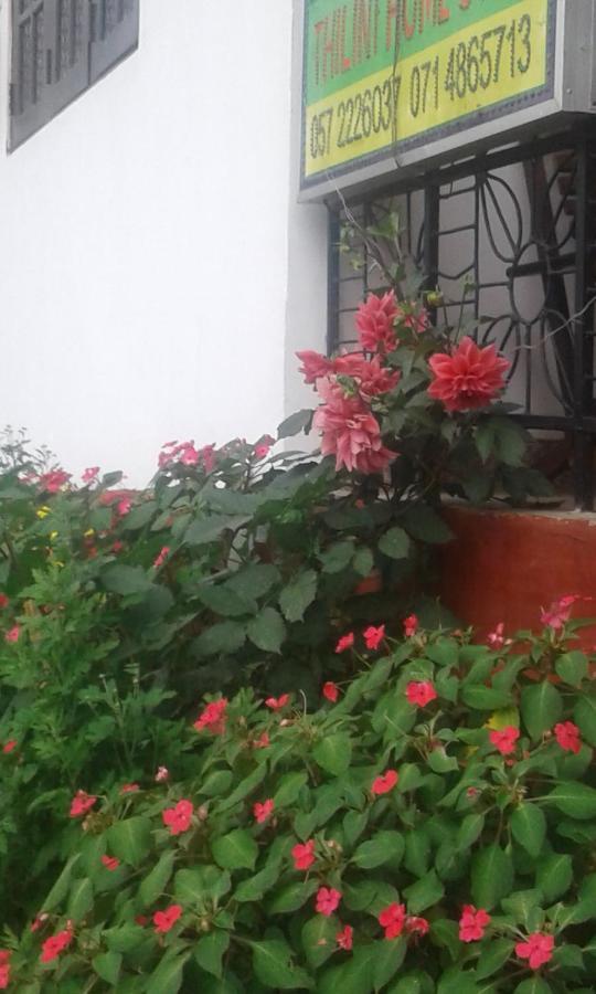 Thilini Homestay エッラ エクステリア 写真