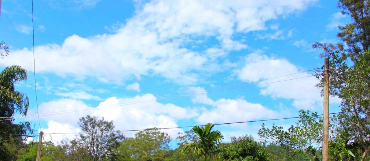Thilini Homestay エッラ エクステリア 写真